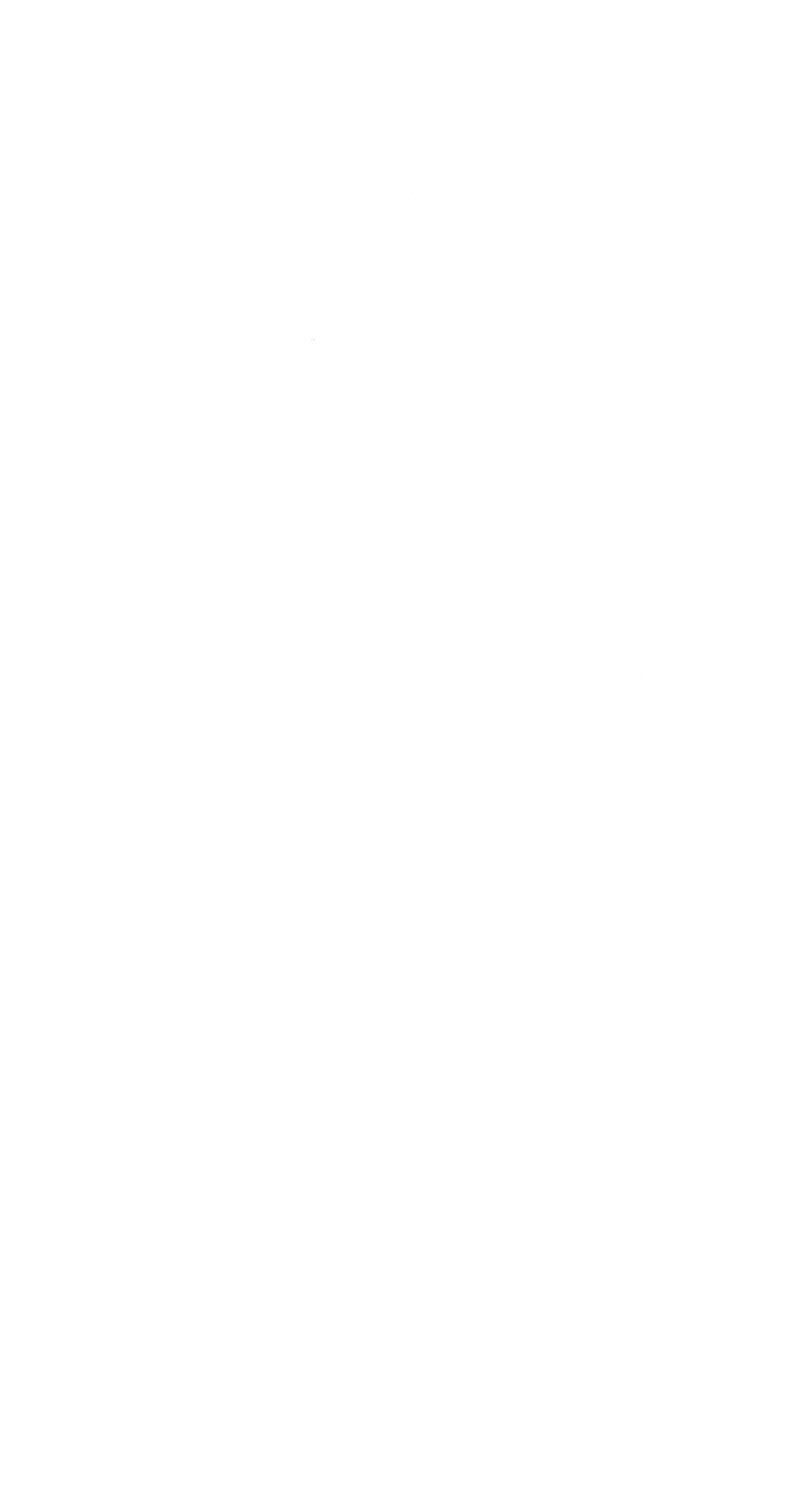 Branche_feuille droite
